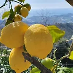ファームステイ Sant'anna サンレモ