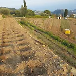 Sant'anna サンレモ