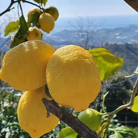 Farm stay Agriturismo Sant'anna Sanremo