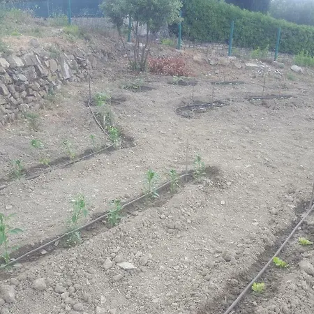 Agriturismo Sant'anna Farm stay