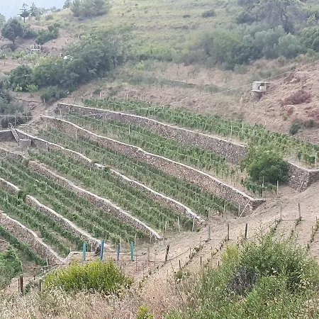 Agriturismo Sant'anna