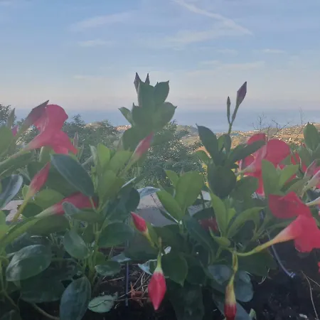 Farm stay Agriturismo Sant'anna Sanremo