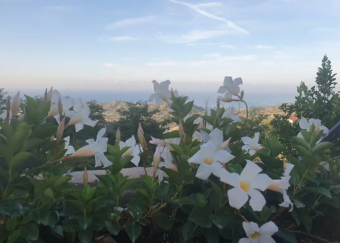 Sant'anna Alojamento de Turismo Rural